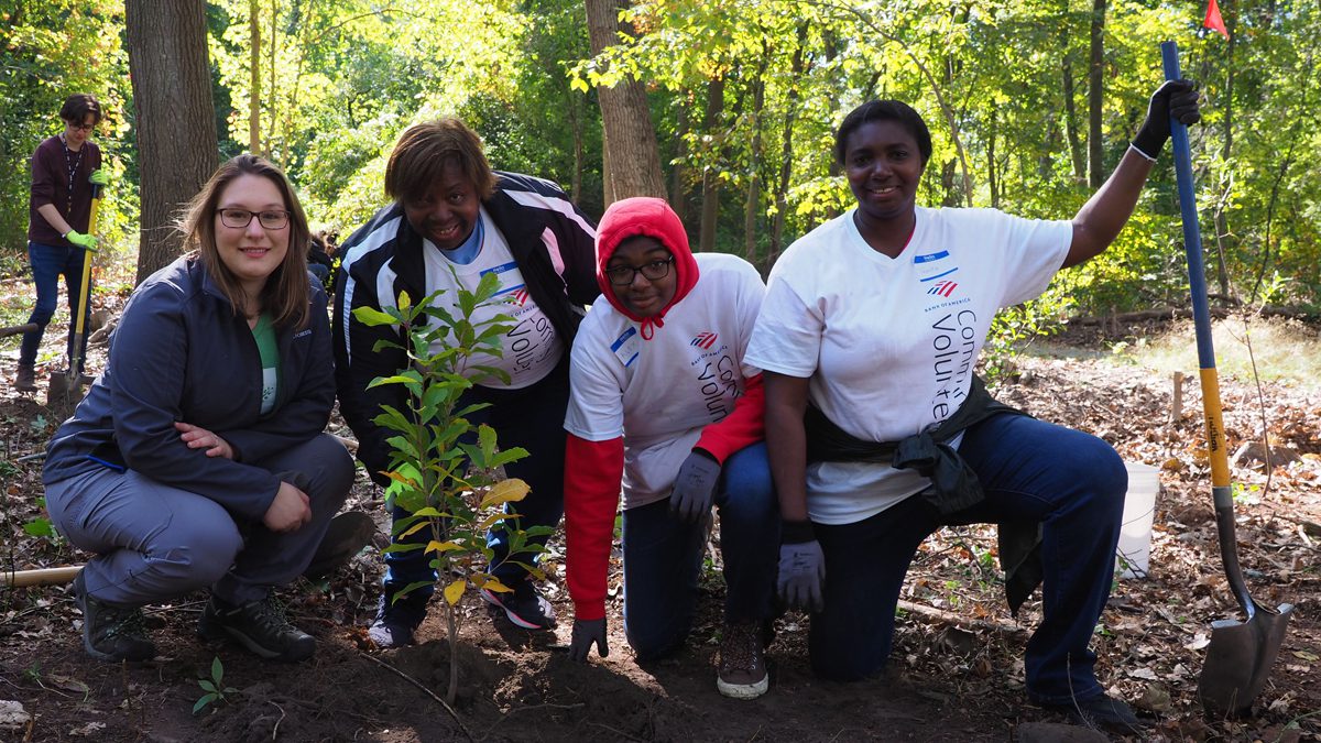 Volunteers at Sherrin Woods tree planting event