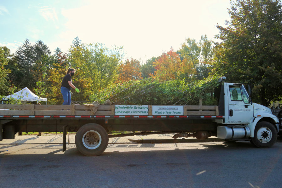Volunteer removing trees from nursery truck