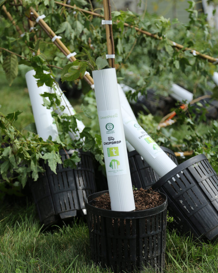 Tree bark protectors decorated with corporate sponsors' logos
