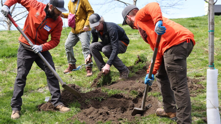 5 people digging a hole to plant a tree