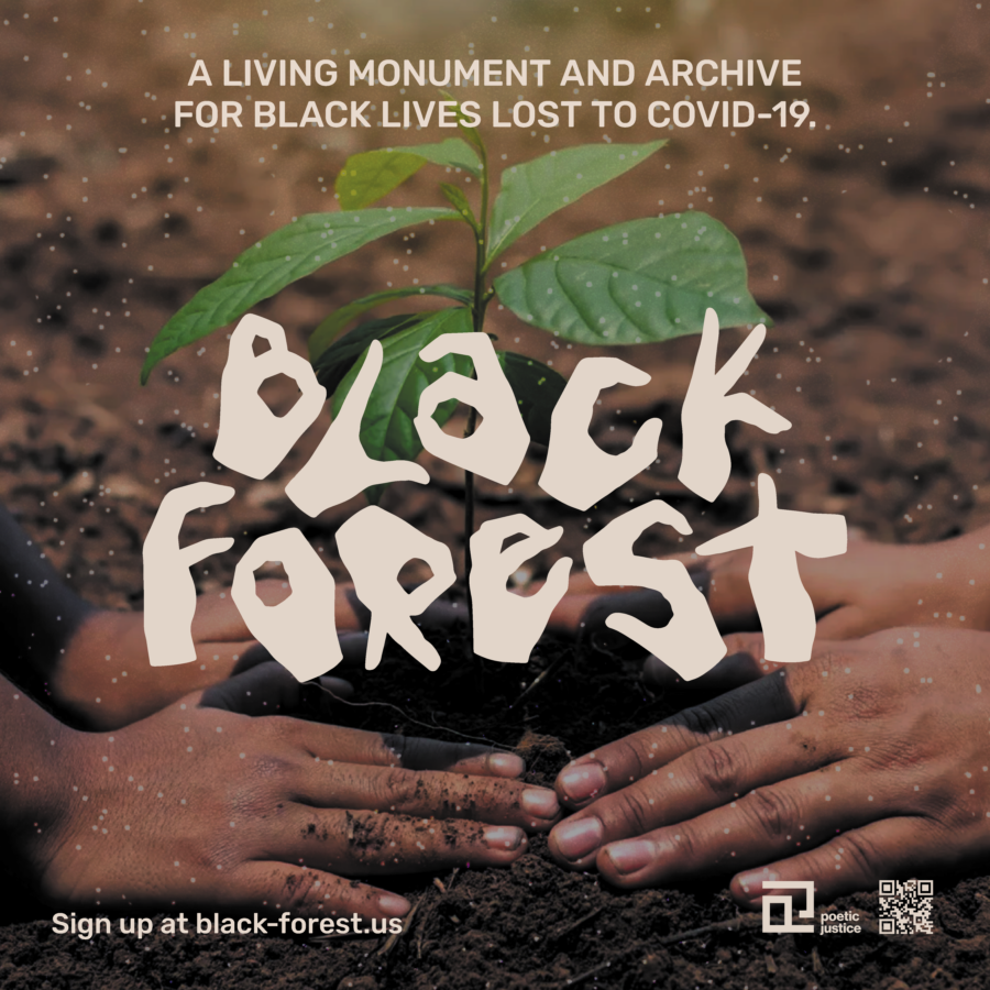 Two sets of Black hand planting a seedling behind the words "Black Forest"