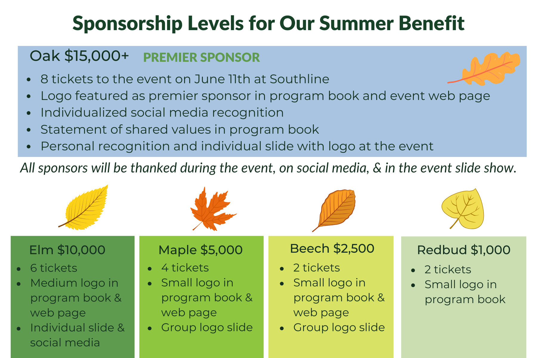 Sponsorship levels for June Benefit