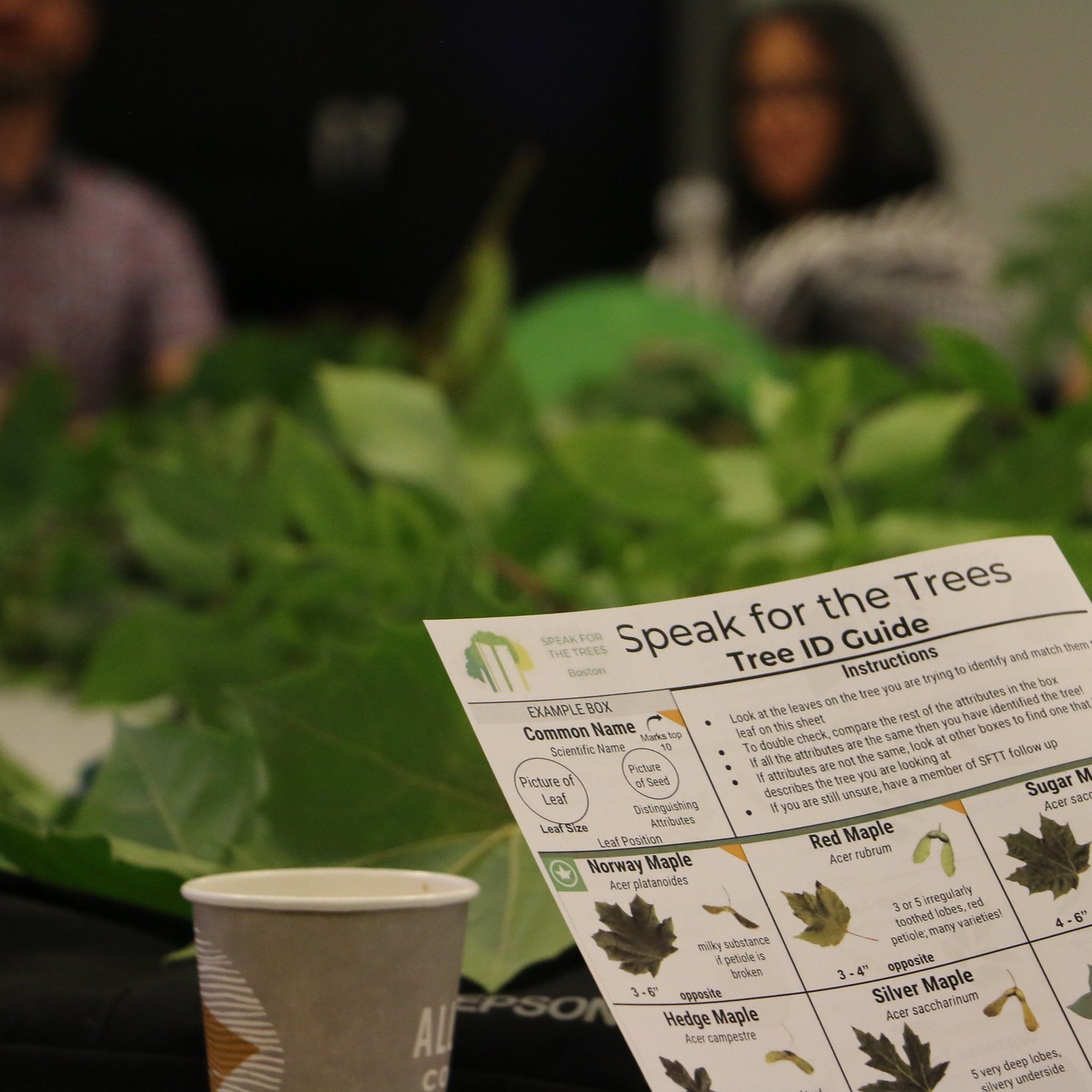 Close-up of a tree ID guide at an education session