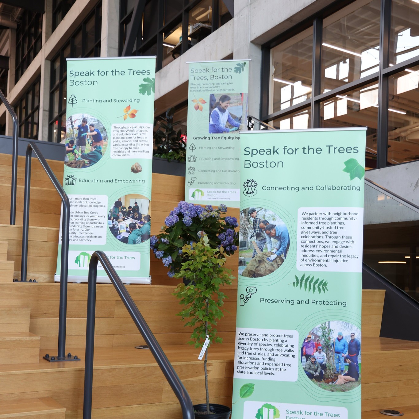 Banners and trees at an event