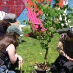 A Tree Team member shows volunteers how to plant a tree.