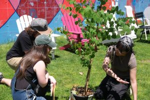 A Tree Team member shows volunteers how to plant a tree.