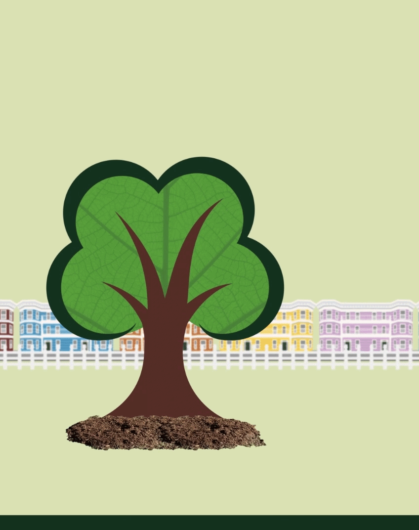 Animation of new logo with the letter B dropping from the top of the screen to become a tree in a B.