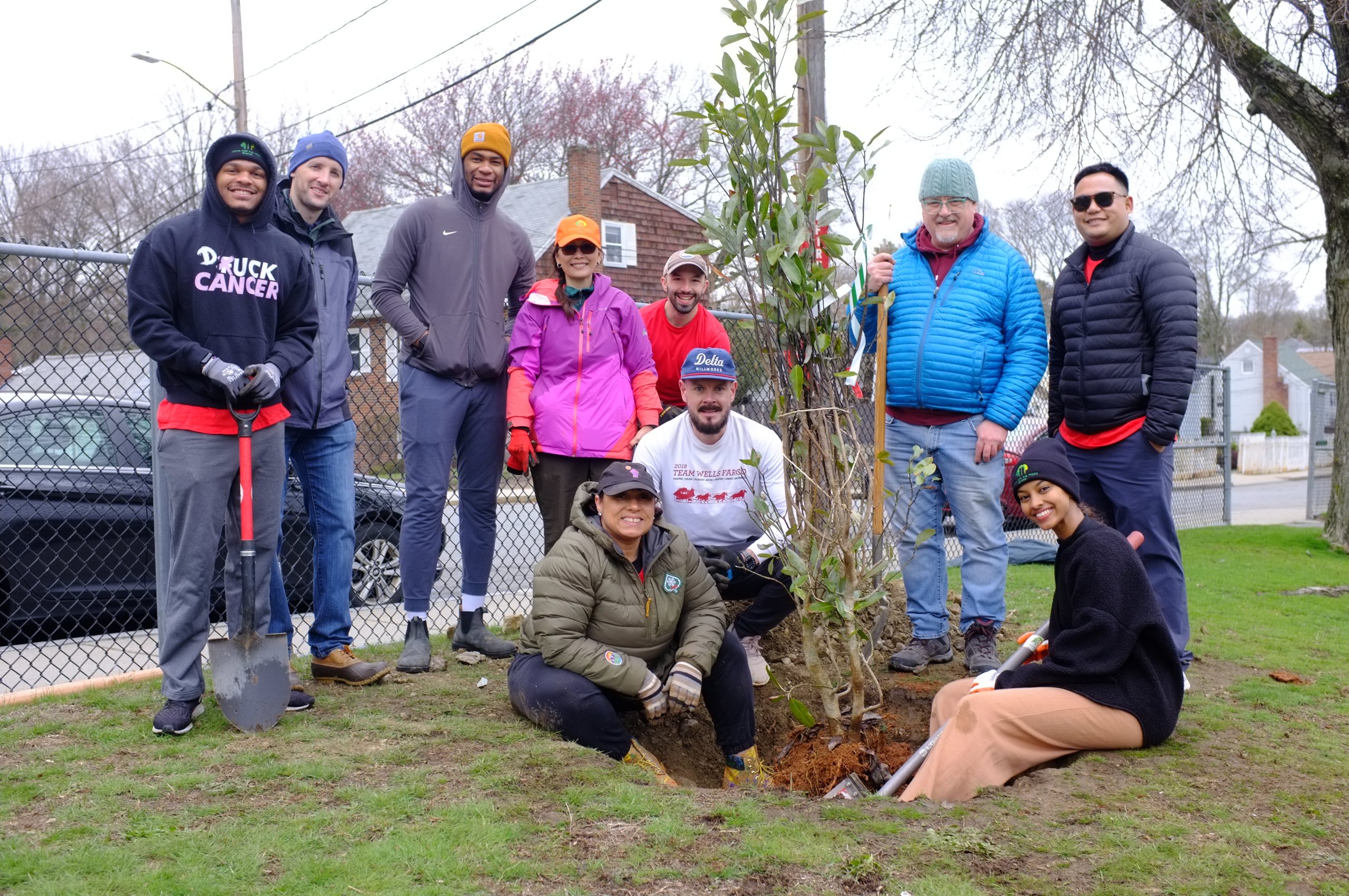 Group planting a tree