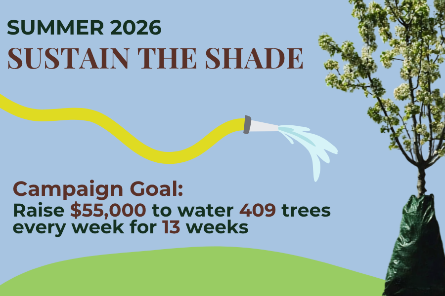 infographic for watering trees